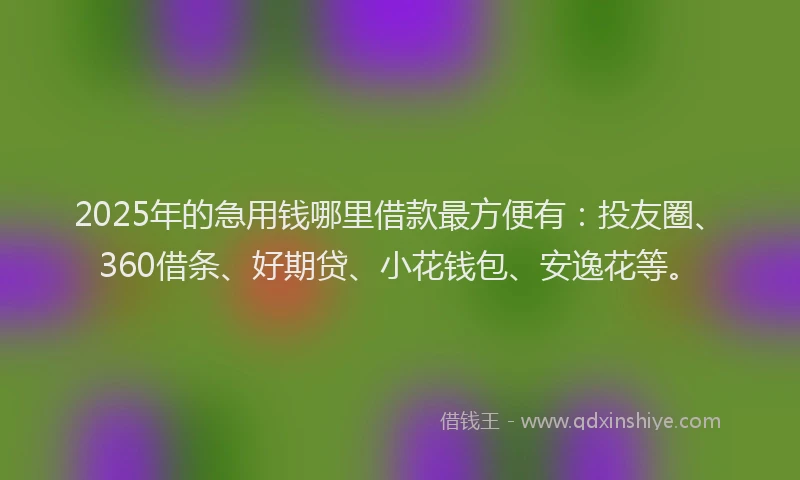 2025年的急用钱哪里借款最方便有：投友圈、360借条、好期贷、小花钱包、安逸花等。