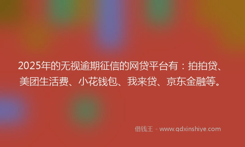 2025年的无视逾期征信的网贷平台有：拍拍贷、美团生活费、小花钱包、我来贷、京东金融等。