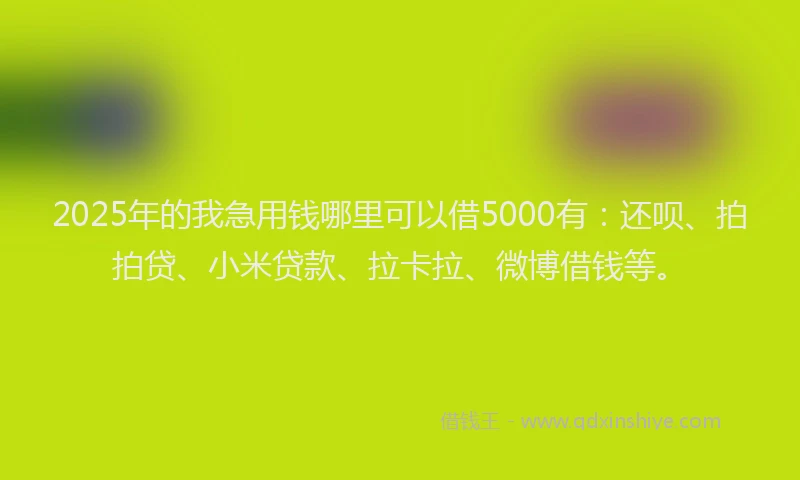 2025年的我急用钱哪里可以借5000有：还呗、拍拍贷、小米贷款、拉卡拉、微博借钱等。