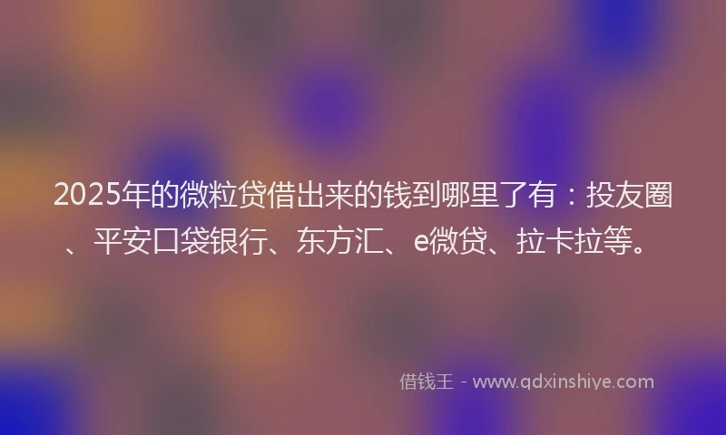 2025年的微粒贷借出来的钱到哪里了有：投友圈、平安口袋银行、东方汇、e微贷、拉卡拉等。