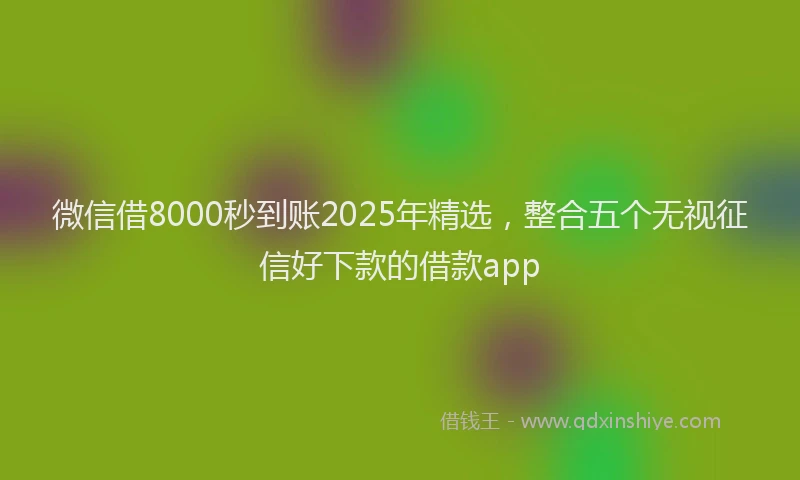 微信借8000秒到账2025年精选，整合五个无视征信好下款的借款app