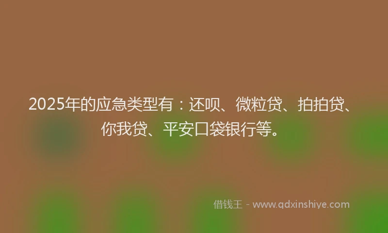 2025年的应急类型有：还呗、微粒贷、拍拍贷、你我贷、平安口袋银行等。