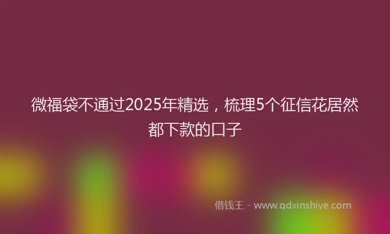 微福袋不通过2025年精选，梳理5个征信花居然都下款的口子
