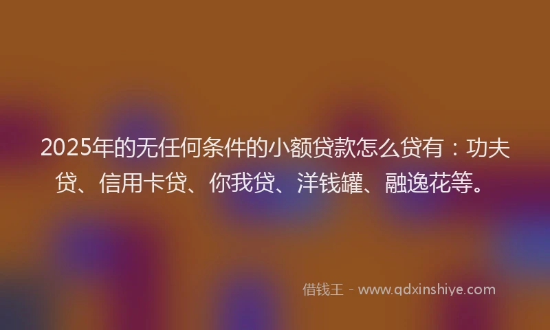 2025年的无任何条件的小额贷款怎么贷有：功夫贷、信用卡贷、你我贷、洋钱罐、融逸花等。
