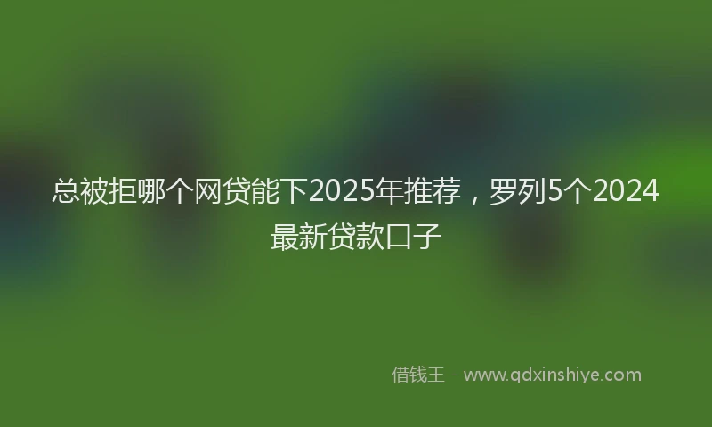总被拒哪个网贷能下2025年推荐，罗列5个2024最新贷款口子