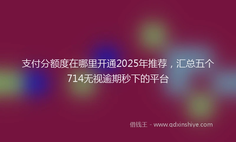 支付分额度在哪里开通2025年推荐，汇总五个714无视逾期秒下的平台