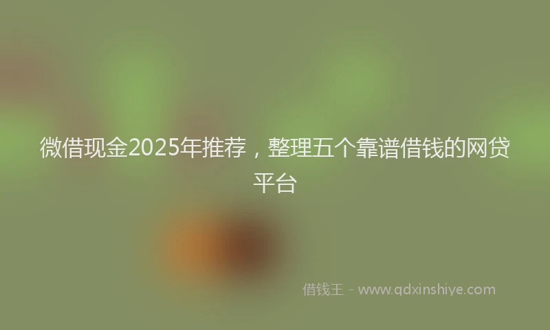 微借现金2025年推荐，整理五个靠谱借钱的网贷平台