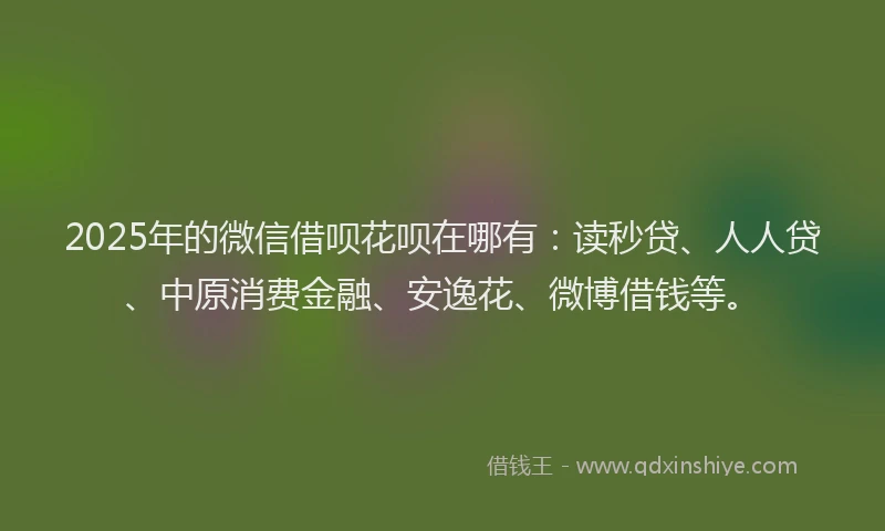 2025年的微信借呗花呗在哪有：读秒贷、人人贷、中原消费金融、安逸花、微博借钱等。