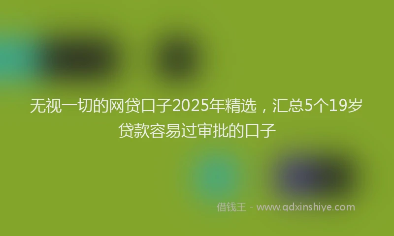 无视一切的网贷口子2025年精选，汇总5个19岁贷款容易过审批的口子