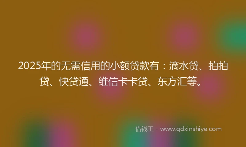 2025年的无需信用的小额贷款有：滴水贷、拍拍贷、快贷通、维信卡卡贷、东方汇等。