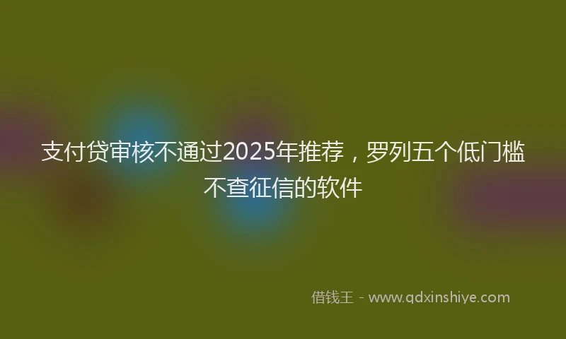 支付贷审核不通过2025年推荐，罗列五个低门槛不查征信的软件