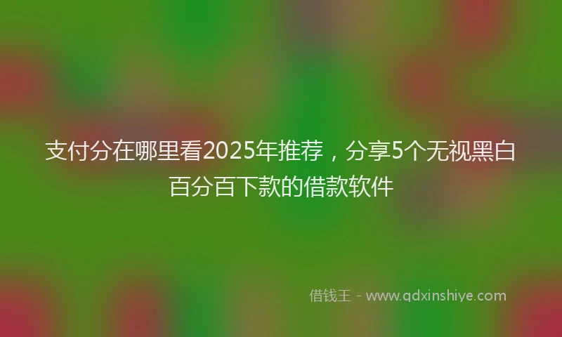 支付分在哪里看2025年推荐，分享5个无视黑白百分百下款的借款软件