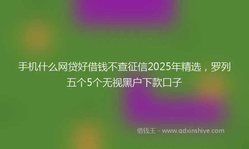 手机什么网贷好借钱不查征信2025年精选，罗列五个5个无视黑户下款口子