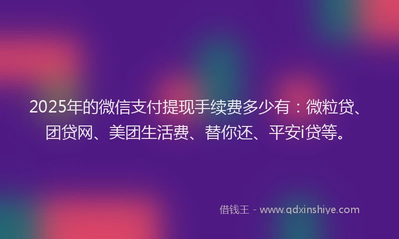 2025年的微信支付提现手续费多少有：微粒贷、团贷网、美团生活费、替你还、平安i贷等。