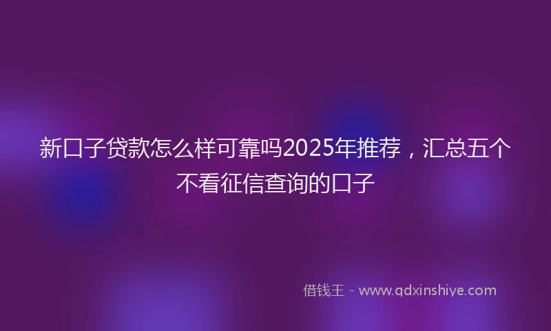 新口子贷款怎么样可靠吗2025年推荐，汇总五个不看征信查询的口子