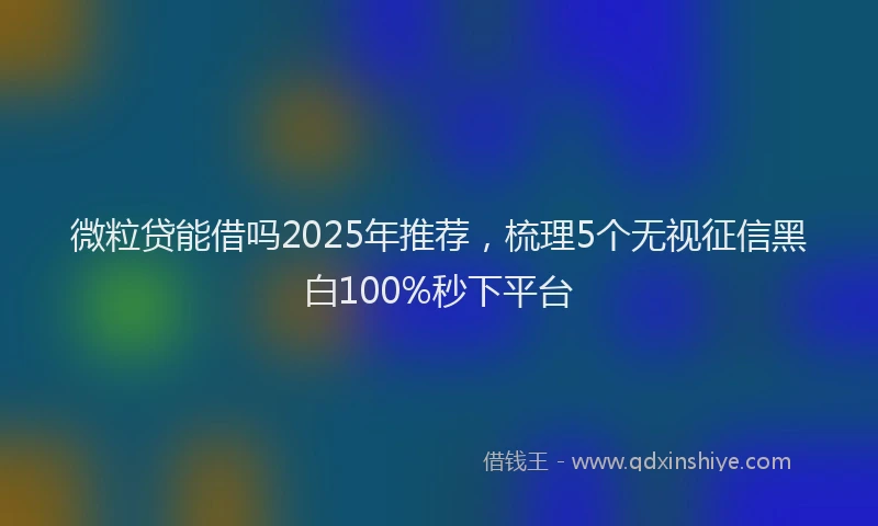 微粒贷能借吗2025年推荐，梳理5个无视征信黑白100%秒下平台