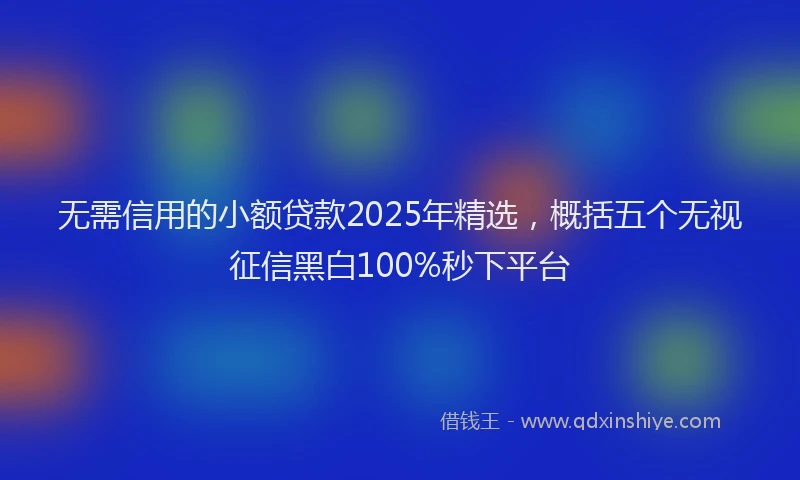 无需信用的小额贷款2025年精选，概括五个无视征信黑白100%秒下平台