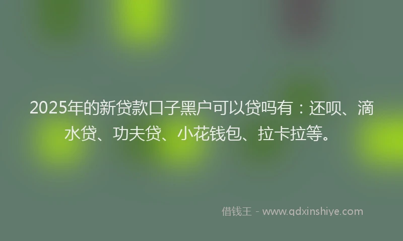 2025年的新贷款口子黑户可以贷吗有：还呗、滴水贷、功夫贷、小花钱包、拉卡拉等。
