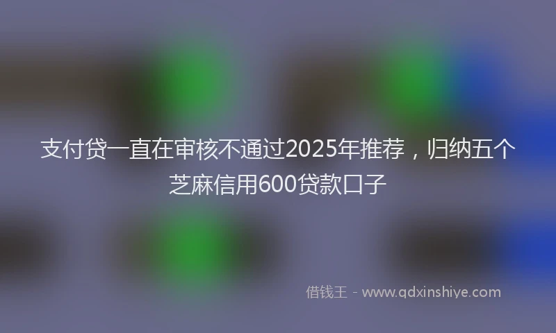 支付贷一直在审核不通过2025年推荐，归纳五个芝麻信用600贷款口子