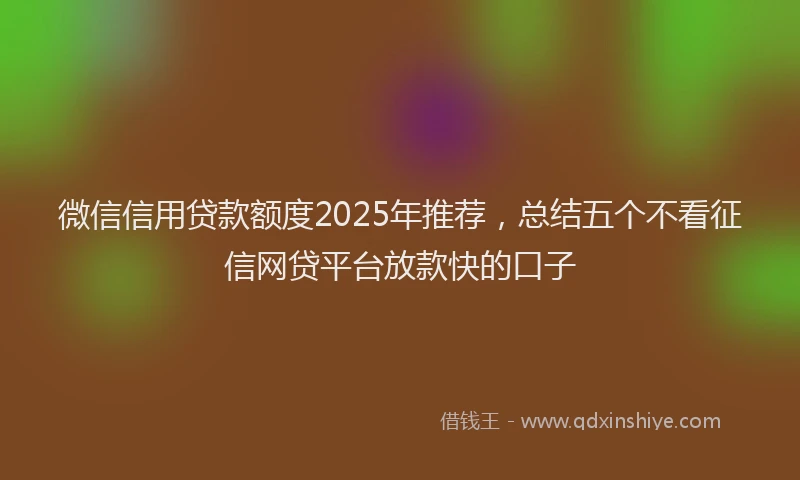 微信信用贷款额度2025年推荐，总结五个不看征信网贷平台放款快的口子