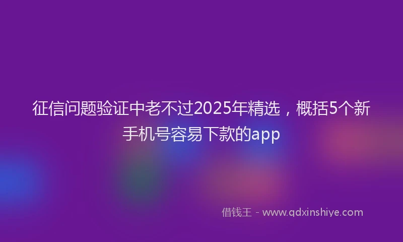 征信问题验证中老不过2025年精选，概括5个新手机号容易下款的app