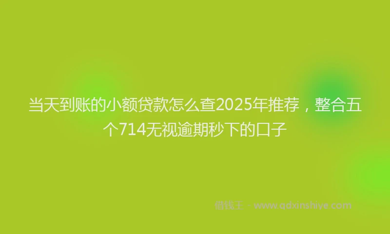 当天到账的小额贷款怎么查2025年推荐，整合五个714无视逾期秒下的口子