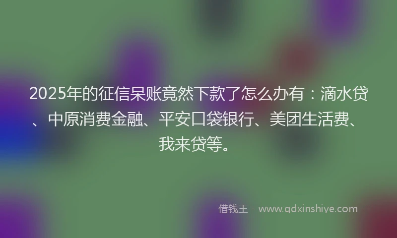 2025年的征信呆账竟然下款了怎么办有：滴水贷、中原消费金融、平安口袋银行、美团生活费、我来贷等。