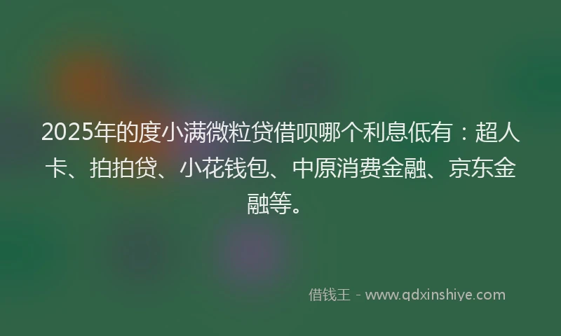 2025年的度小满微粒贷借呗哪个利息低有：超人卡、拍拍贷、小花钱包、中原消费金融、京东金融等。