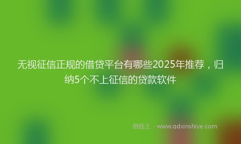 无视征信正规的借贷平台有哪些2025年推荐，归纳5个不上征信的贷款软件
