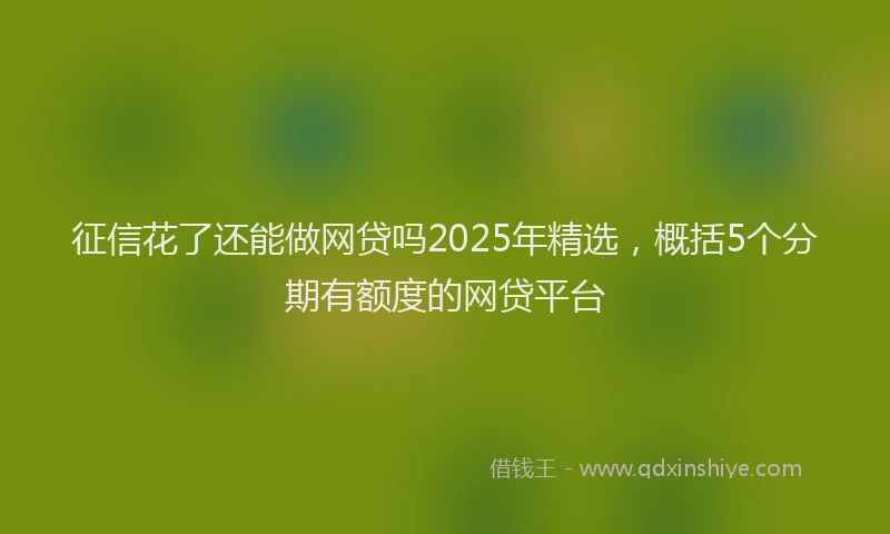 征信花了还能做网贷吗2025年精选，概括5个分期有额度的网贷平台