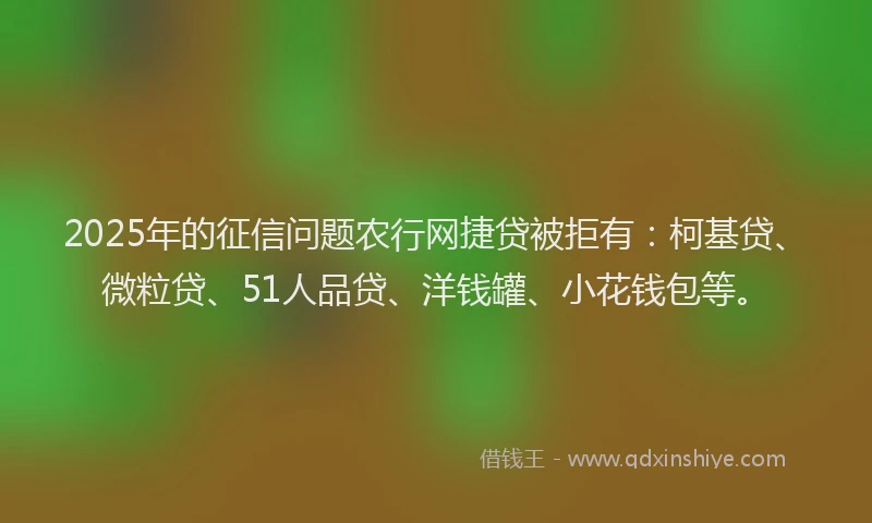 2025年的征信问题农行网捷贷被拒有：柯基贷、微粒贷、51人品贷、洋钱罐、小花钱包等。