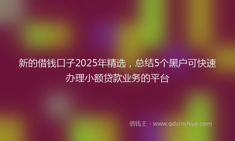 新的借钱口子2025年精选，总结5个黑户可快速办理小额贷款业务的平台