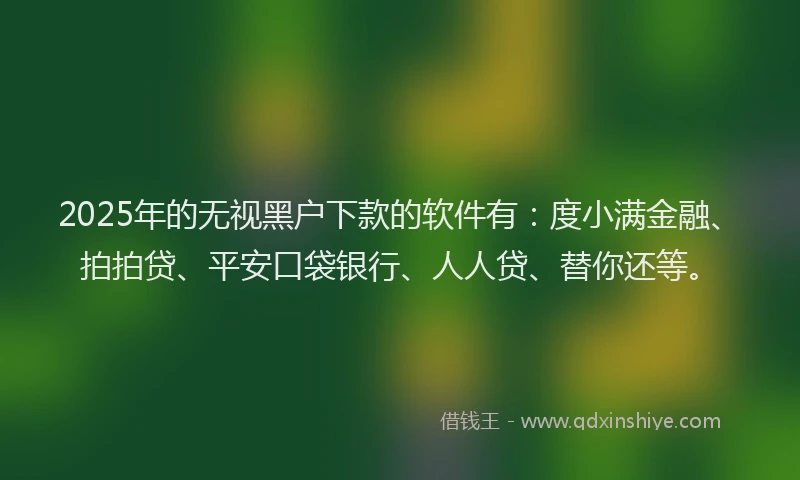 2025年的无视黑户下款的软件有：度小满金融、拍拍贷、平安口袋银行、人人贷、替你还等。