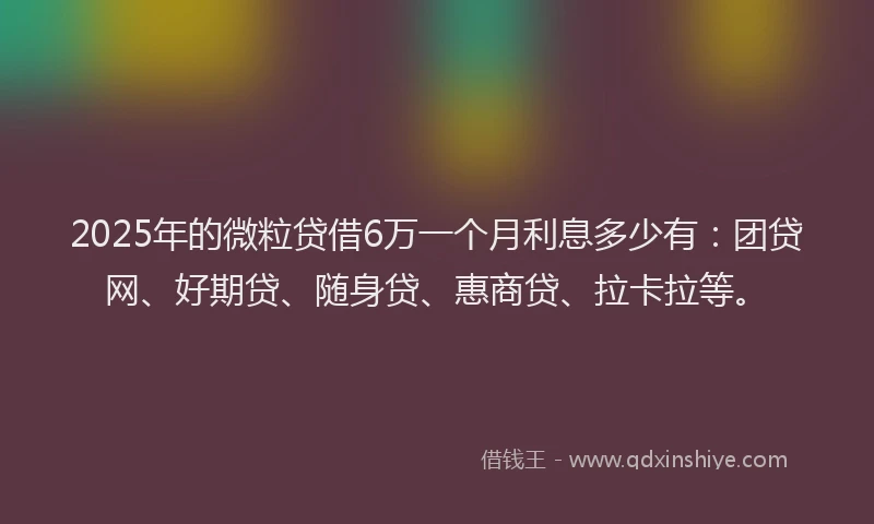 2025年的微粒贷借6万一个月利息多少有：团贷网、好期贷、随身贷、惠商贷、拉卡拉等。