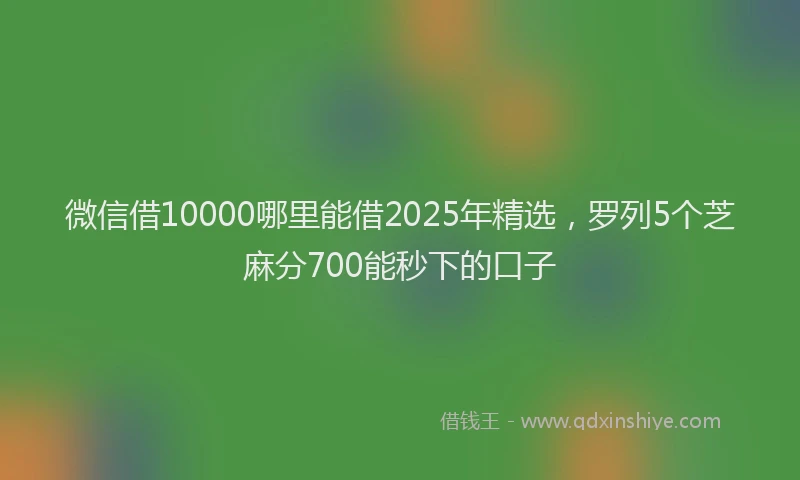 微信借10000哪里能借2025年精选，罗列5个芝麻分700能秒下的口子