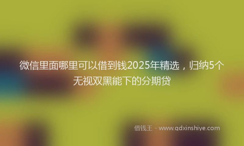 微信里面哪里可以借到钱2025年精选，归纳5个无视双黑能下的分期贷