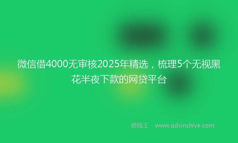微信借4000无审核2025年精选，梳理5个无视黑花半夜下款的网贷平台