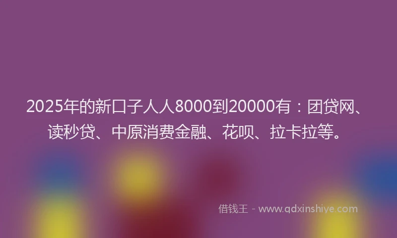 2025年的新口子人人8000到20000有：团贷网、读秒贷、中原消费金融、花呗、拉卡拉等。