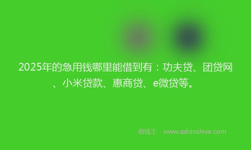 2025年的急用钱哪里能借到有：功夫贷、团贷网、小米贷款、惠商贷、e微贷等。