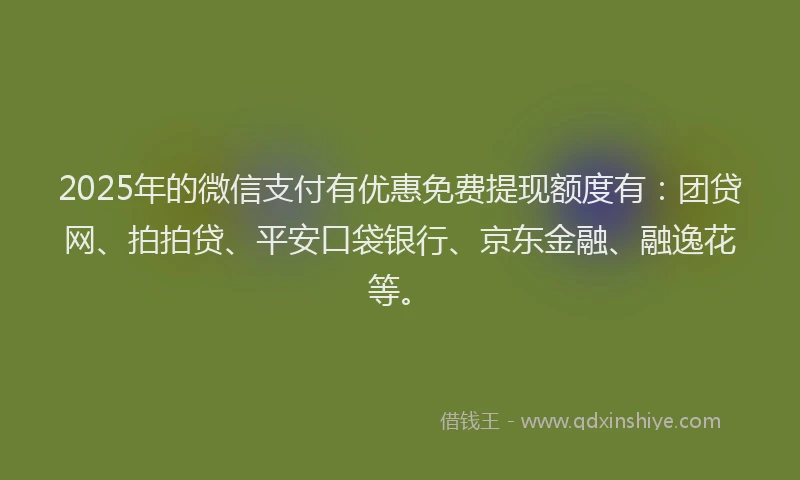 2025年的微信支付有优惠免费提现额度有：团贷网、拍拍贷、平安口袋银行、京东金融、融逸花等。