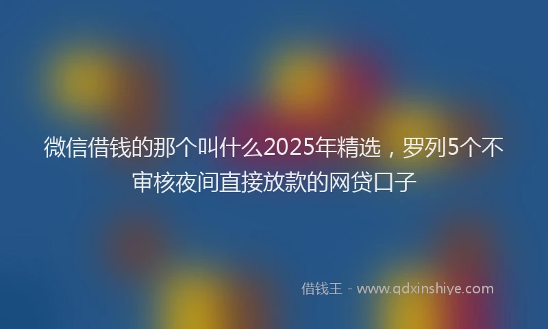 微信借钱的那个叫什么2025年精选，罗列5个不审核夜间直接放款的网贷口子