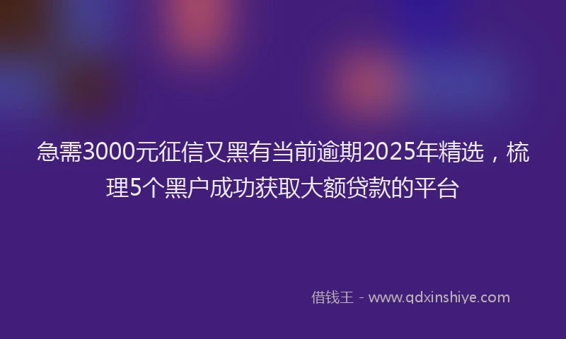 急需3000元征信又黑有当前逾期2025年精选，梳理5个黑户成功获取大额贷款的平台