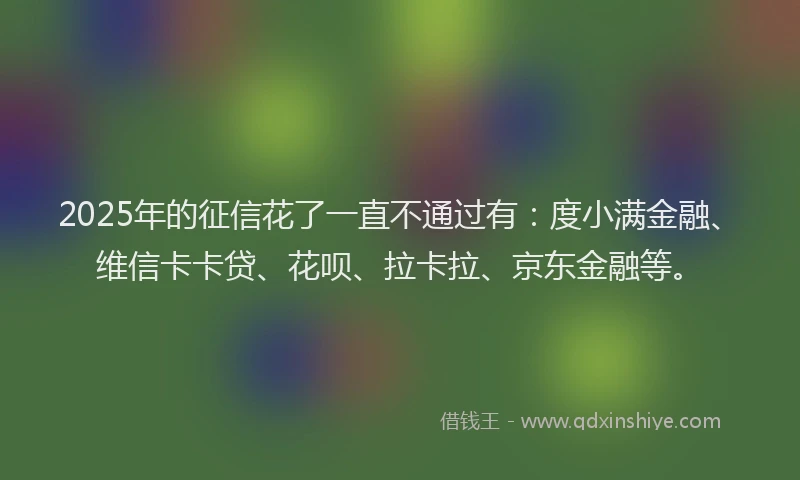 2025年的征信花了一直不通过有：度小满金融、维信卡卡贷、花呗、拉卡拉、京东金融等。