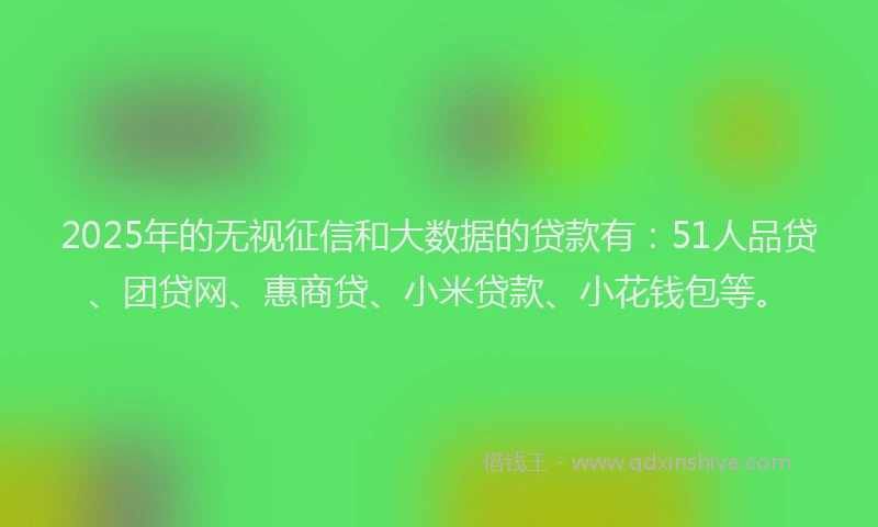 2025年的无视征信和大数据的贷款有：51人品贷、团贷网、惠商贷、小米贷款、小花钱包等。