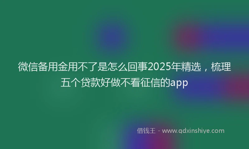 微信备用金用不了是怎么回事2025年精选，梳理五个贷款好做不看征信的app