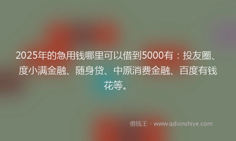 2025年的急用钱哪里可以借到5000有：投友圈、度小满金融、随身贷、中原消费金融、百度有钱花等。
