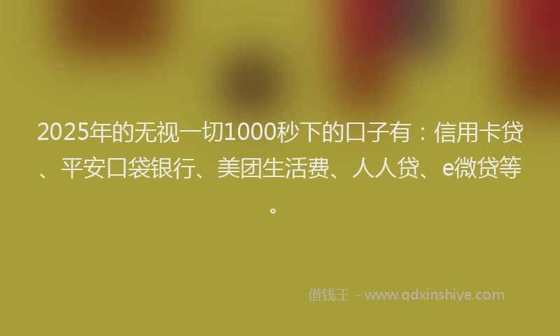 2025年的无视一切1000秒下的口子有：信用卡贷、平安口袋银行、美团生活费、人人贷、e微贷等。
