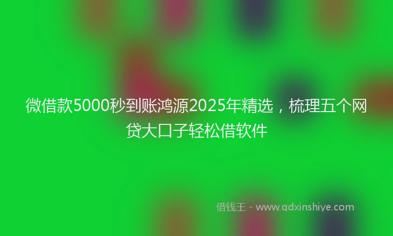 微借款5000秒到账鸿源2025年精选，梳理五个网贷大口子轻松借软件