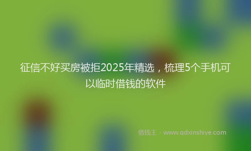 征信不好买房被拒2025年精选，梳理5个手机可以临时借钱的软件