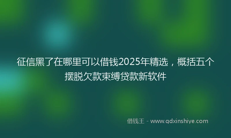征信黑了在哪里可以借钱2025年精选，概括五个摆脱欠款束缚贷款新软件